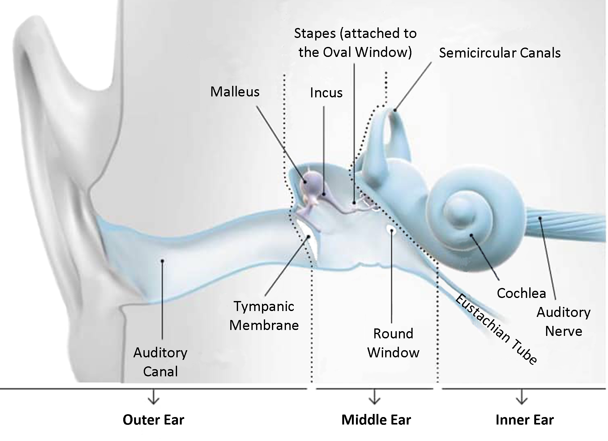 ear barotrauma